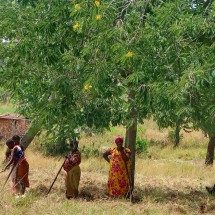 Working women and one man of Soni